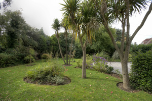 collingwood